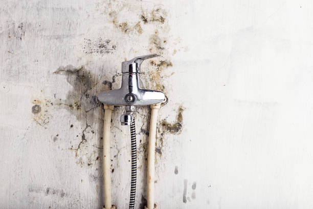Best Water Damage Restoration  in Comstock Park, MI