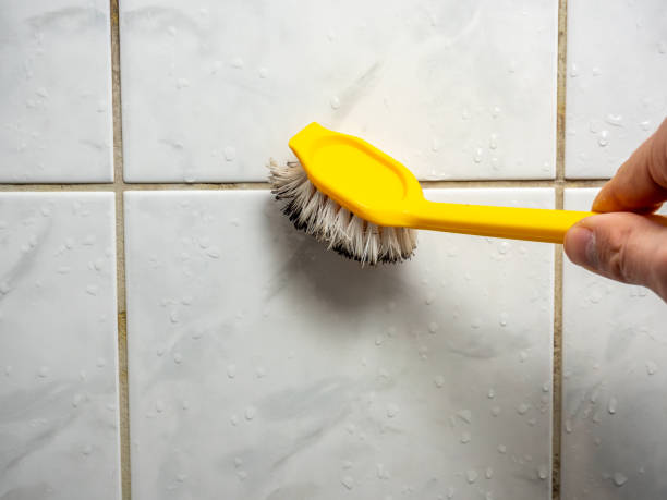  Comstock Park, MI Mold Removal Pros