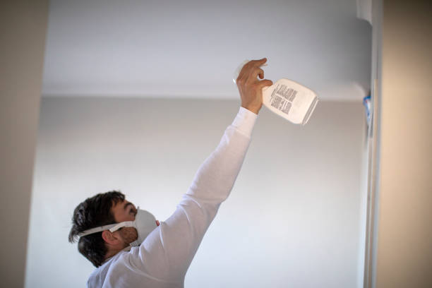 Best Residential Mold Removal  in Comstock Park, MI