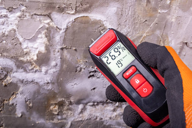 Crawl Space Mold Removal in Comstock Park, MI