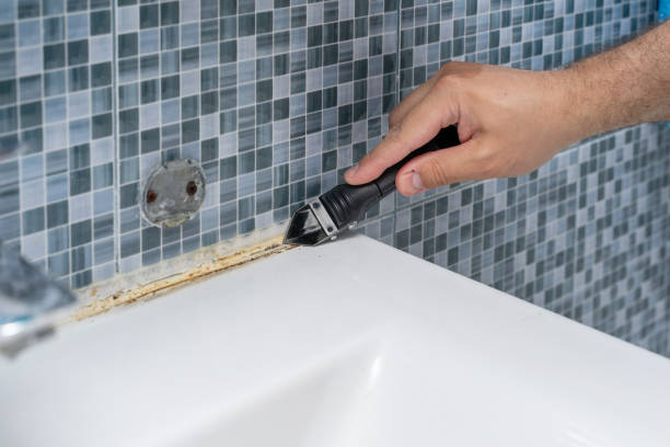 Best Mold Damage Repair  in Comstock Park, MI