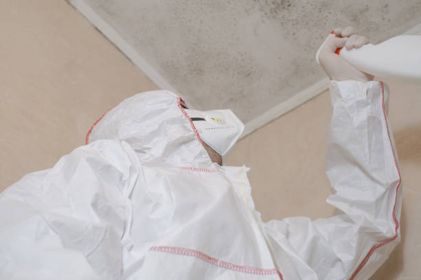 Best Crawl Space Mold Removal  in Comstock Park, MI