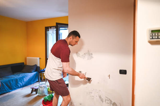 Best Affordable Mold Removal  in Comstock Park, MI